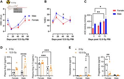Biological sex differences in renin angiotensin system enzymes ACE and ACE2 regulate normal tissue response to radiation injury
